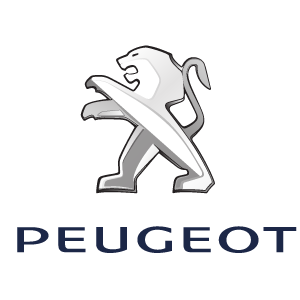 Vendo auto Peugeot